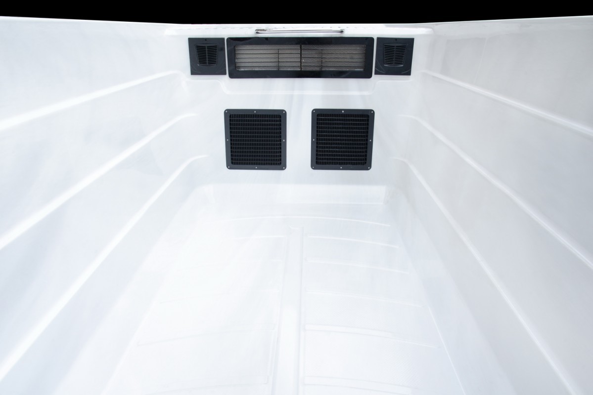 Platinum Spas Swimspa Athena