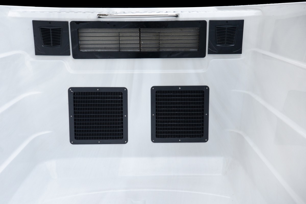 Platinum Spas Swimspa Athena